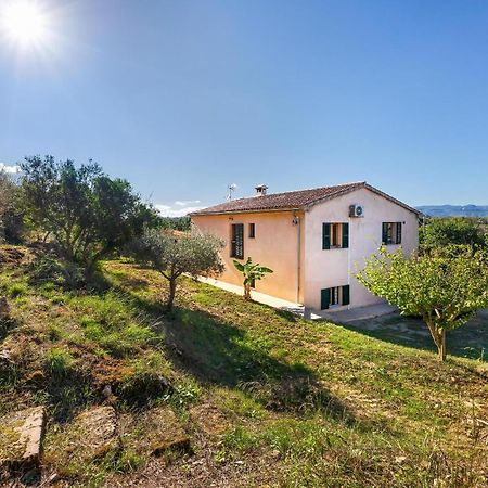 Villa Son Allarga Costitx Kültér fotó