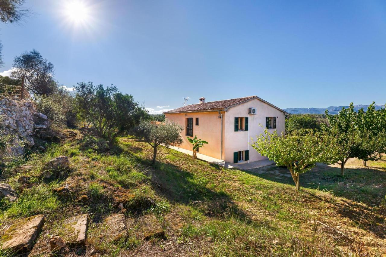 Villa Son Allarga Costitx Kültér fotó