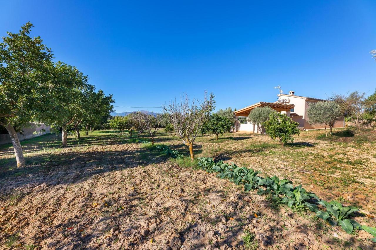 Villa Son Allarga Costitx Kültér fotó